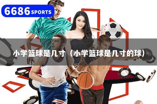 小学篮球是几寸（小学篮球是几寸的球）